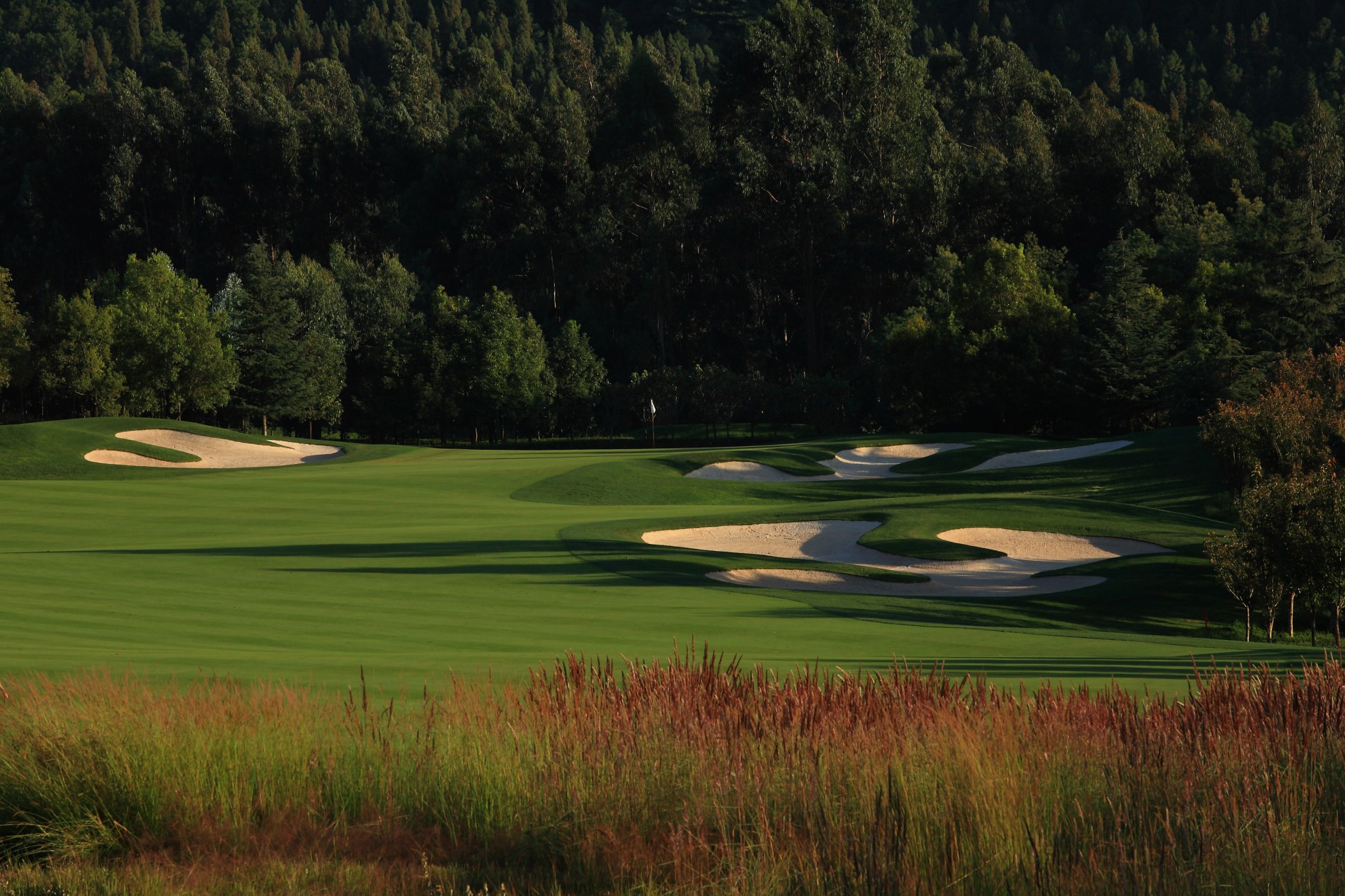 Sunshine Golf Club (