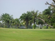 Mountain Shadow Golf Club