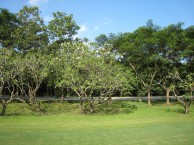 Terrain de golf Navatanee