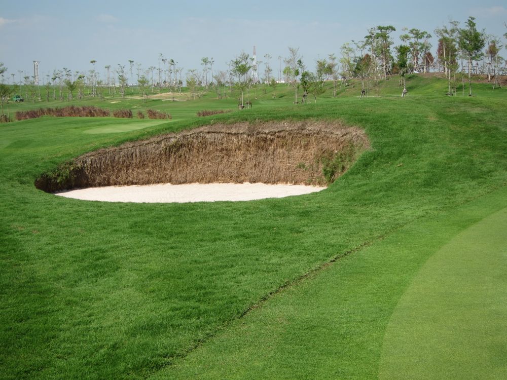 Le RG City Golf Club - Dream Arena (