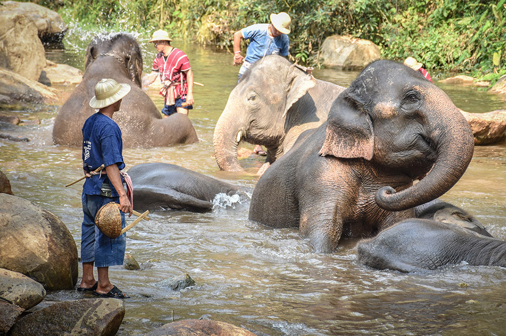 Thailand Golf Expedition - Les meilleurs parcours