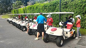 Golfasian