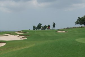 golfasien