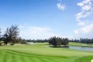 golfasien