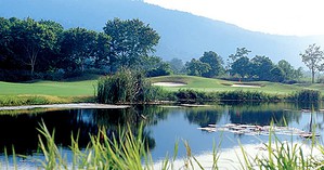 golfasien