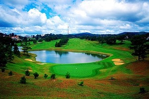 golfasien