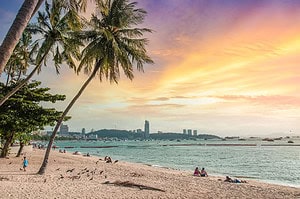 une plage avec des palmiers et une étendue d'eau