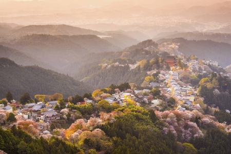 Yoshinoyama, Nara, Japon : vue de la ville et des cerisiers au printemps.