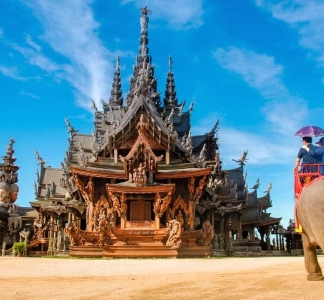 éléphant-pattaya