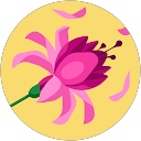 Avatar de Donna McGroarty